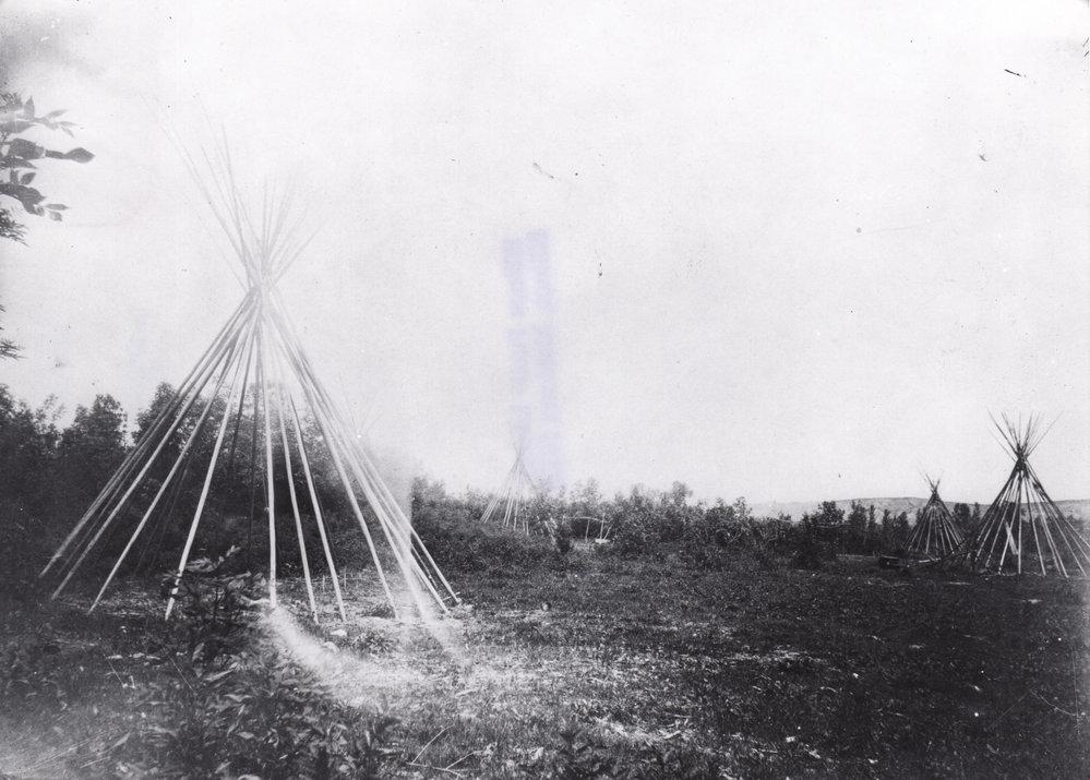 Lodge poles Montana Memory Project