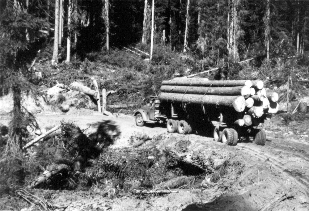 Logging History in Montana Montana History Portal