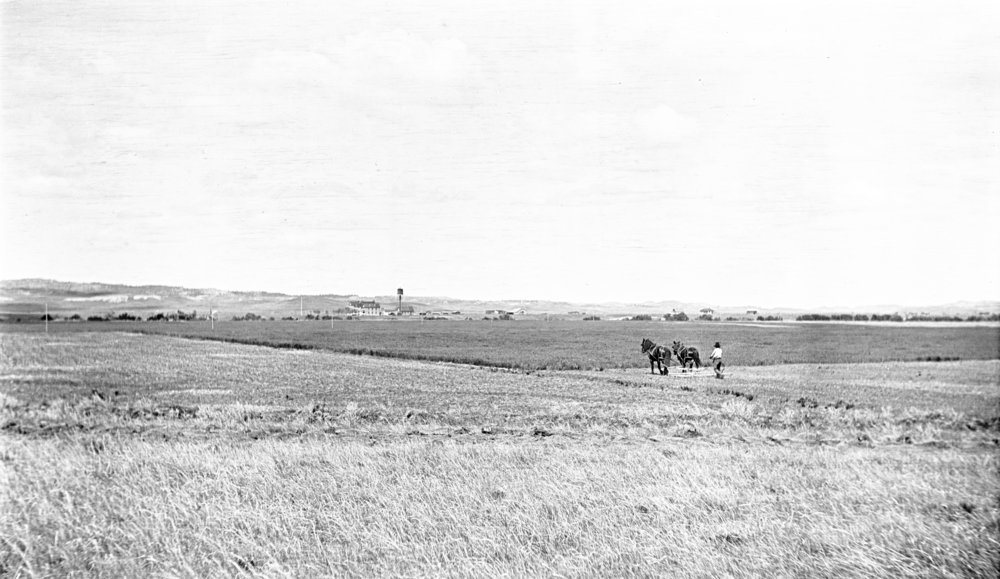 Horse team with driver near Busby, Montana Montana Memory Project