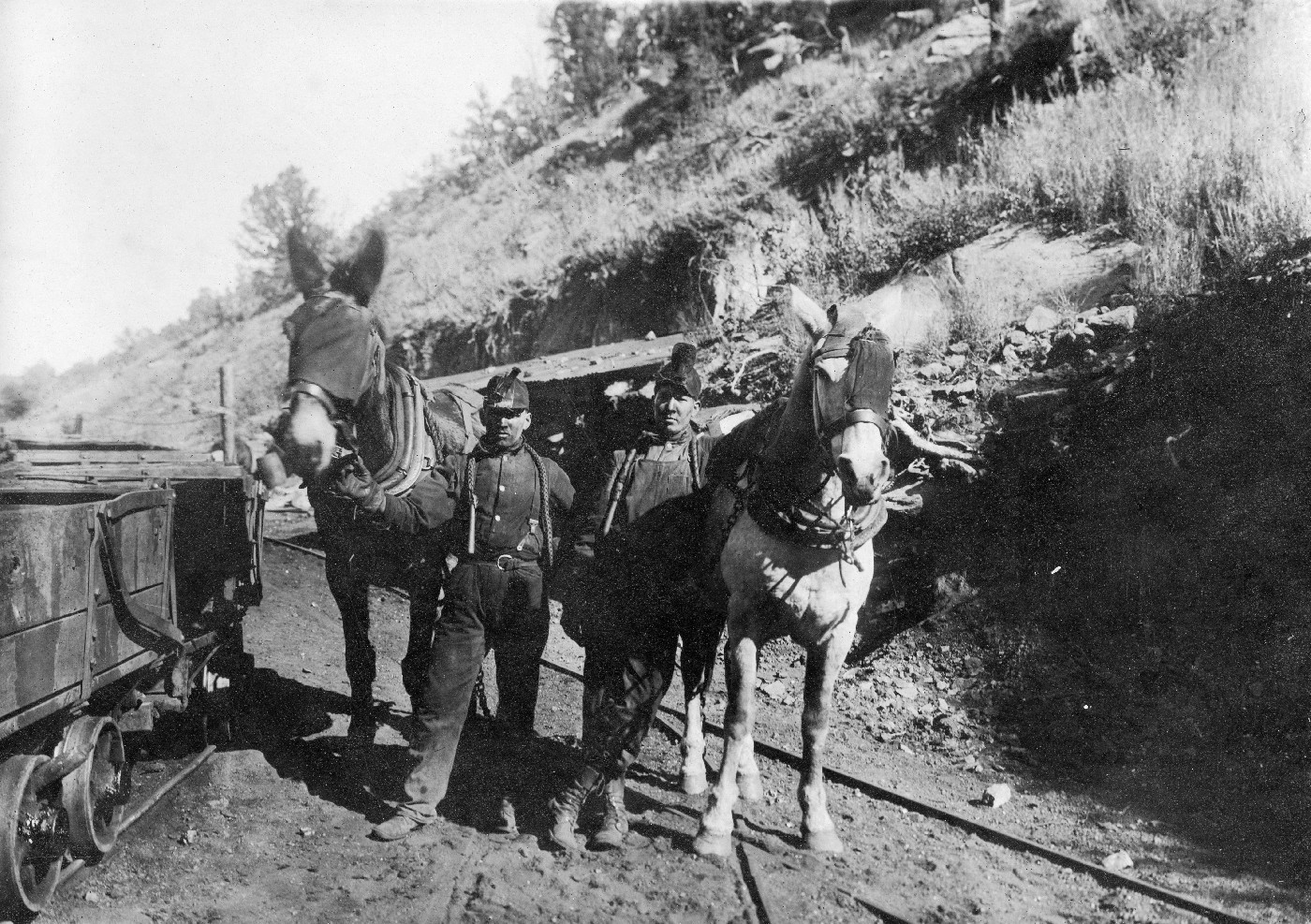 Carbon County Photographs Montana History Portal