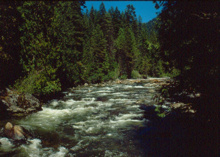 River view in the SelwayBitterroot Wilderness Montana History Portal