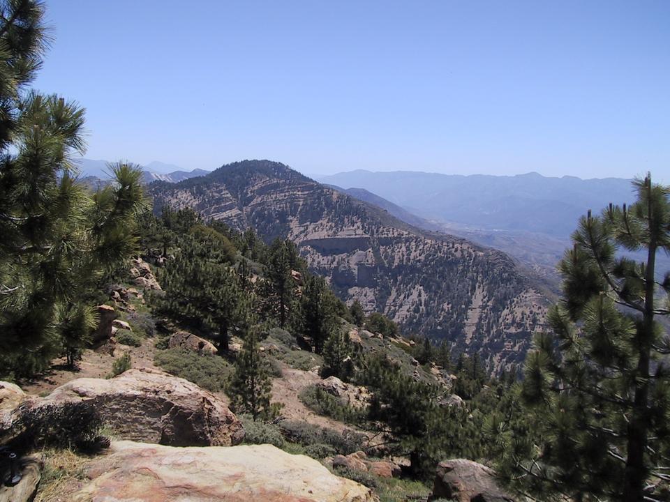 Southern California Hiking Reyes Peak and Haddock Mountain June 13, 2004