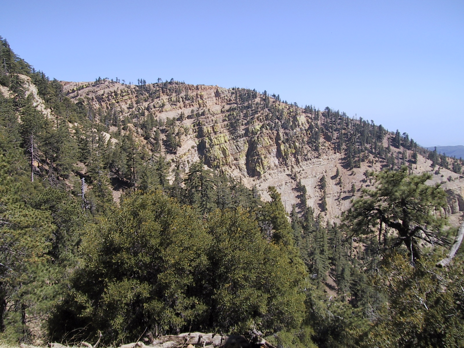 Southern California Hiking Reyes Peak and Haddock Mountain June 13, 2004