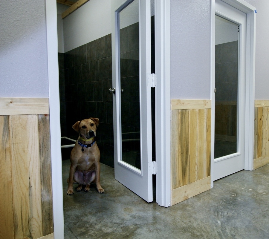 Boarding in Mt Pleasant, TX Mt. Pleasant Animal Clinic