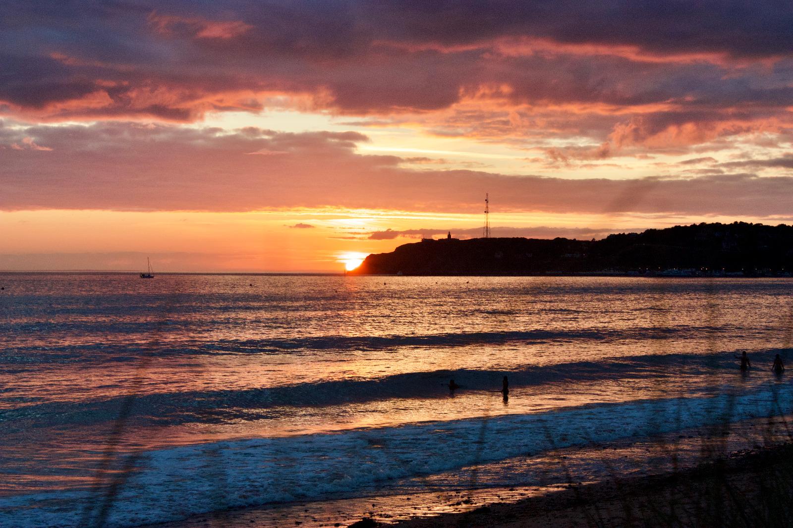 Oiseaux Jersey MT Vacances Vacation rentals BarnevilleCarteret