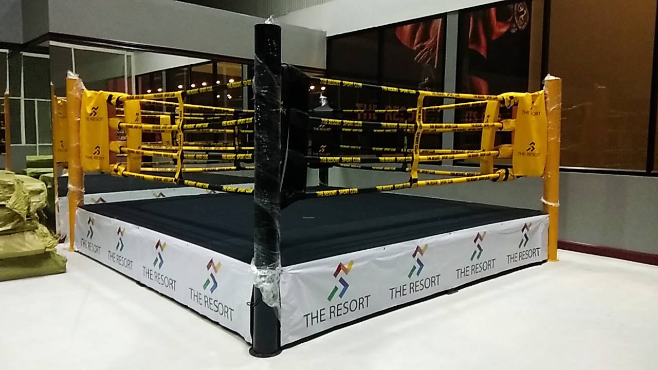 High quality Boxing Rings Muay Thai Ring 4x4 m2