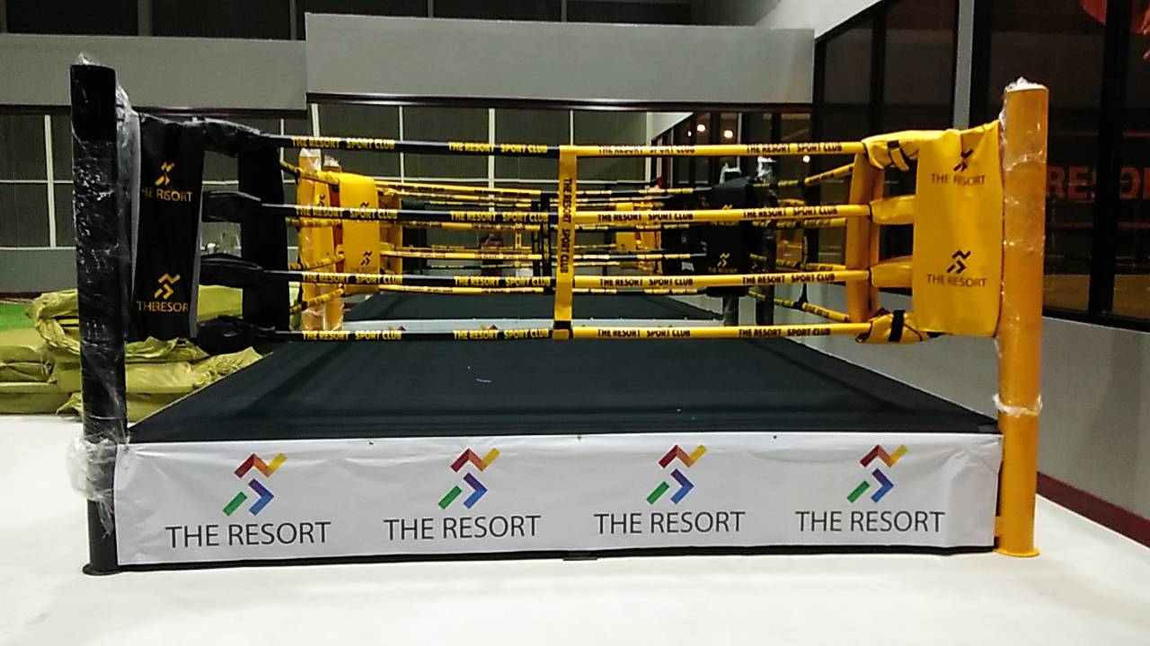 Muay Thai Ring