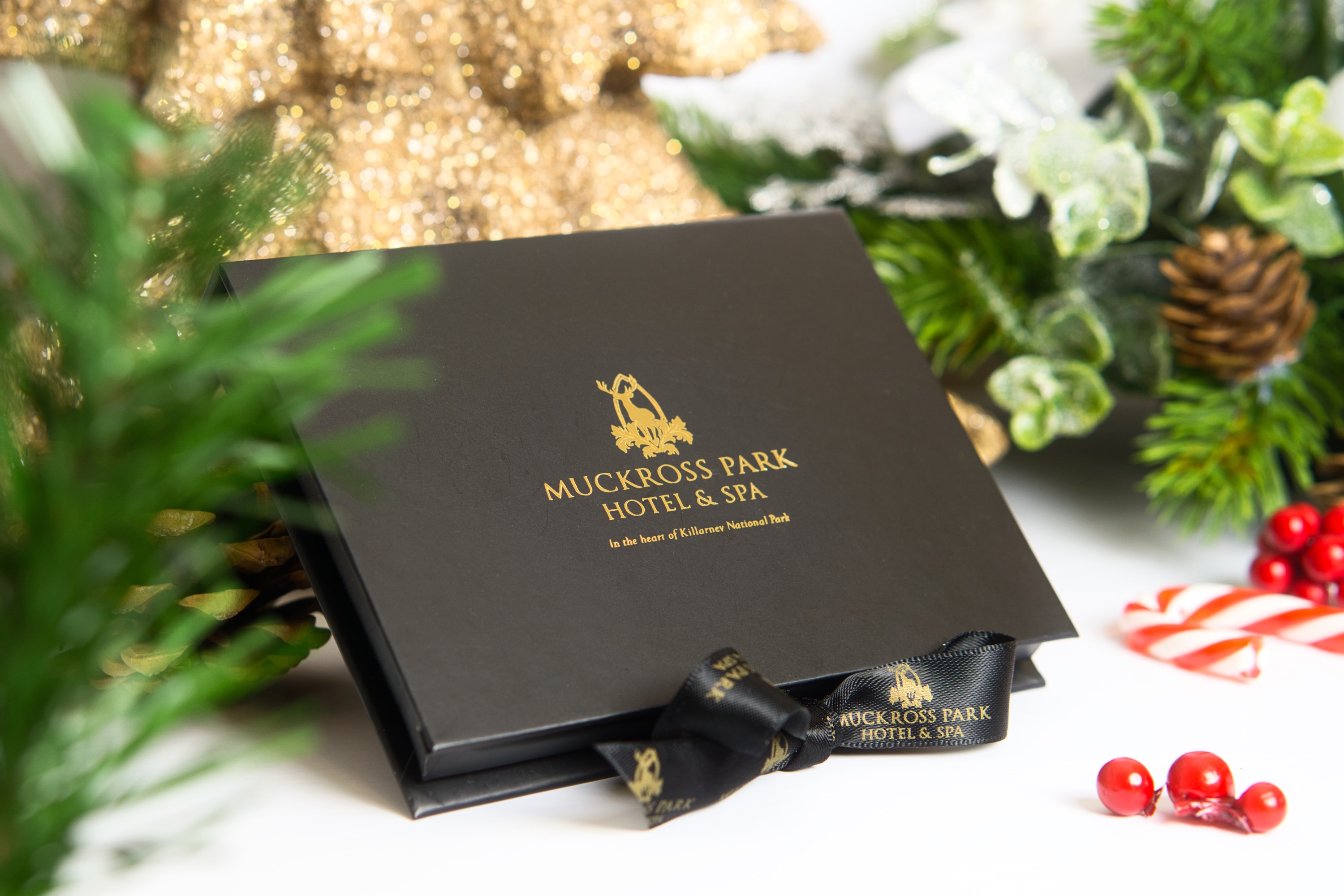 Park Christmas Vouchers 2023 Christmas Vouchers Muckross Park Hotel & Spa