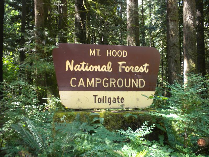 Tollgate Campground Mt Hood National Forest