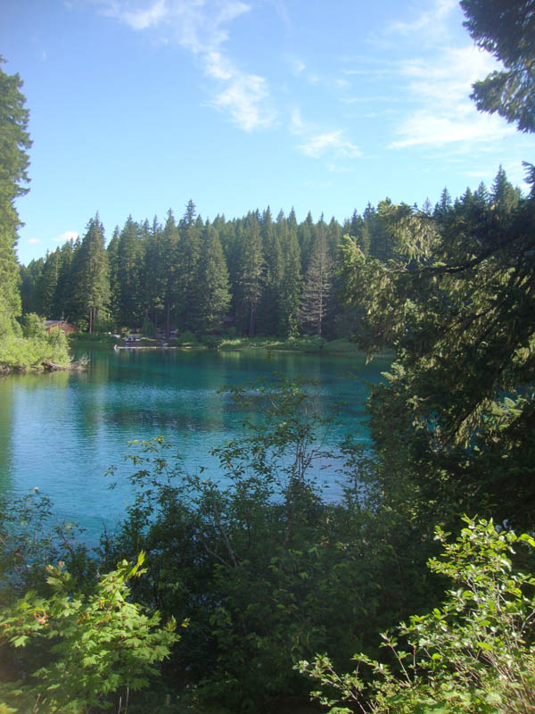 Cold Water Cove Campground, Clear Lake McKenzie River