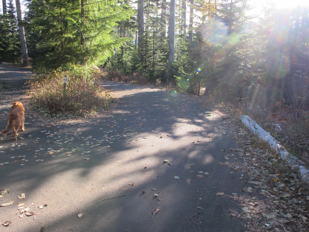 Lost Lake Campground Resort Mount Hood, Oregon