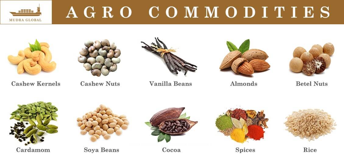 Agro commodities Products Mudra Global International