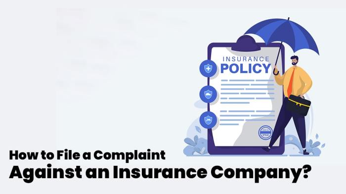 How to File a Complaint Against an Insurance Company? How to file a lawsuit against your insurance company