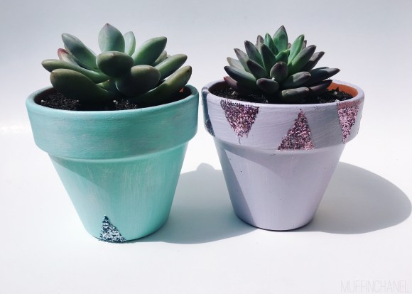 They have really come back . Spring Glitter Succulent Pots Diy Muffinchanel