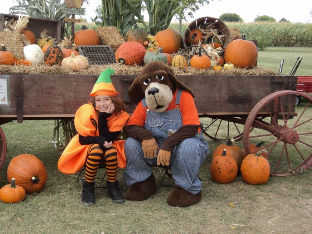 Photo Gallery Mulberry Lane Farm Petting Zoo & Pumpkin Patch