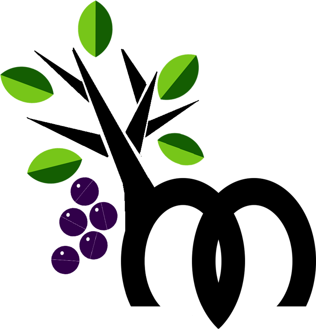 Mulberry Pharmacy Modern Convenience, Traditional Care