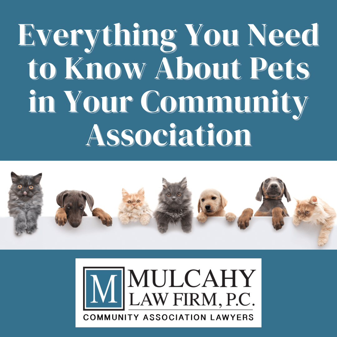 Pets in Your Community Association Mulcahy Law Firm
