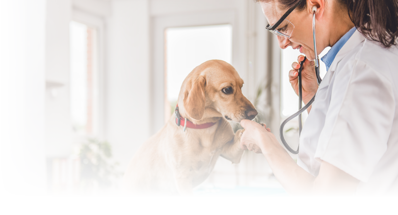 Shop Pets Muleshoe Vet Supply