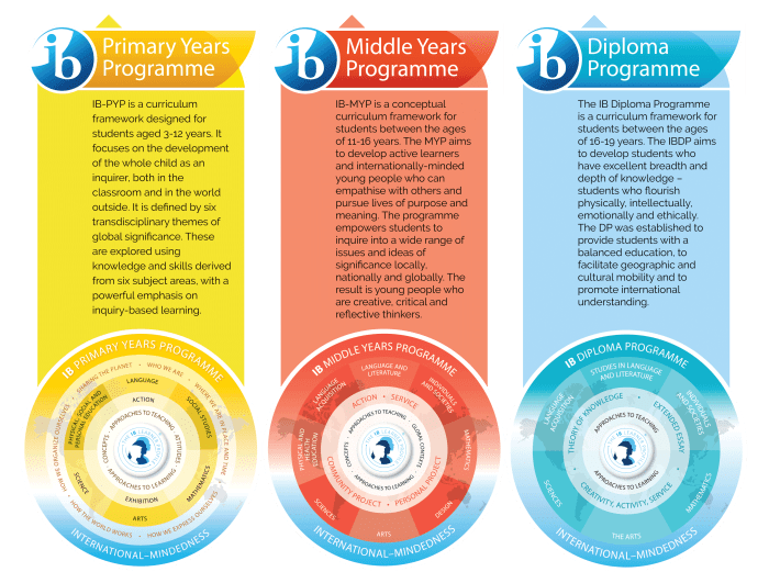 About – IB Courses Online About – IB Courses Online