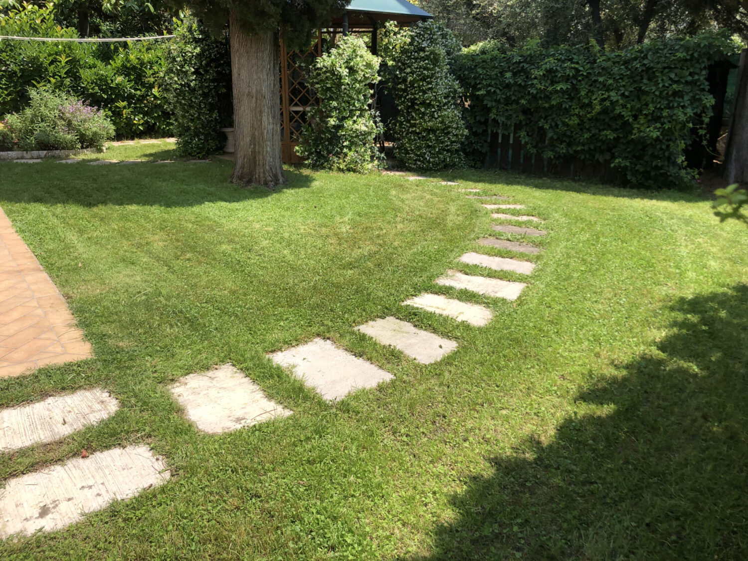 Giardinaggio Multi F Service