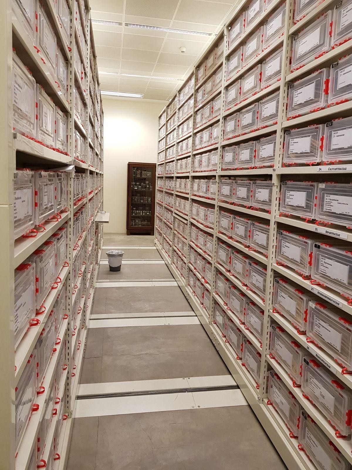 Herbarium Storage Solution Industrial Storage Systems Provider