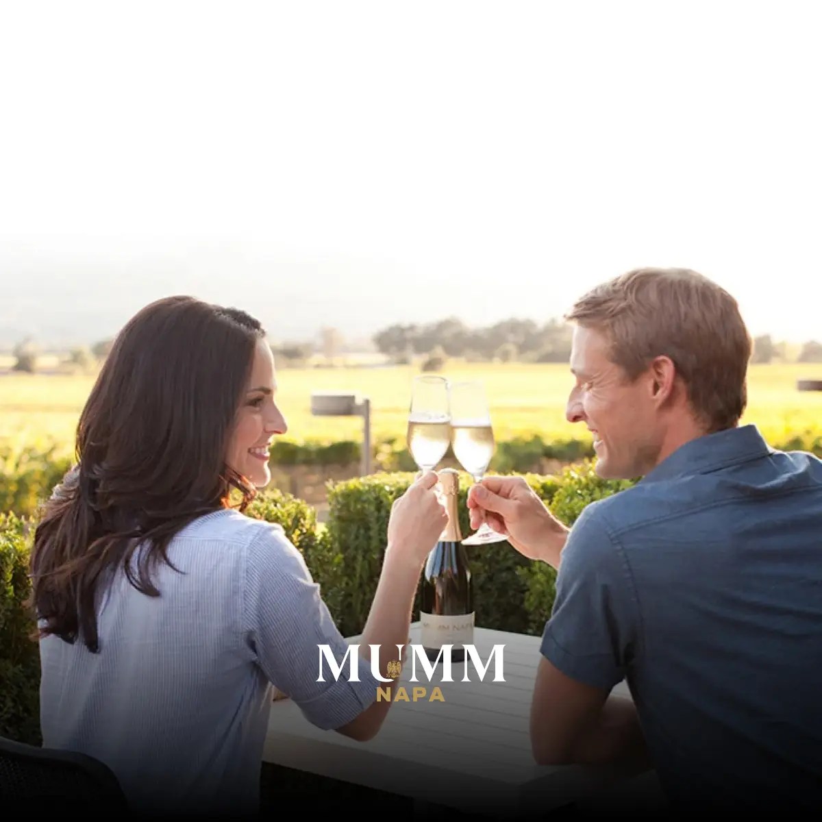 Club Mumm Terms & Conditions Mumm Napa Wine Club
