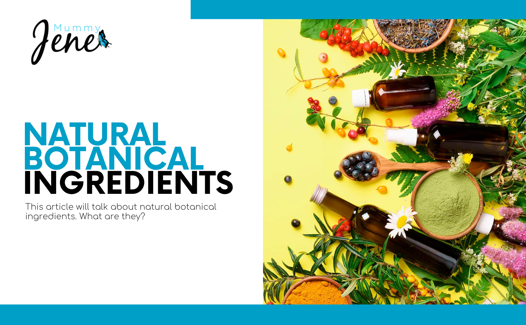 What Are Natural Botanical Ingredients?