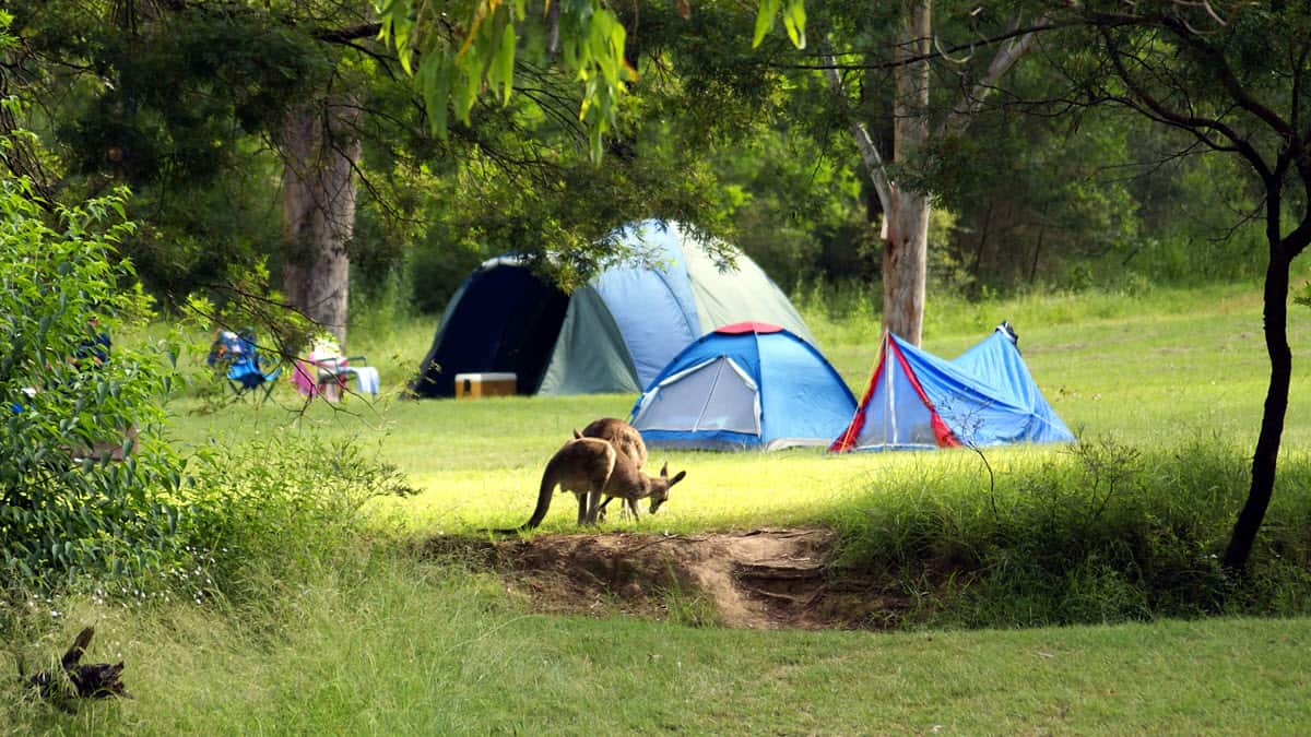 Best Family Tent Australia [Top 5 In 2021]