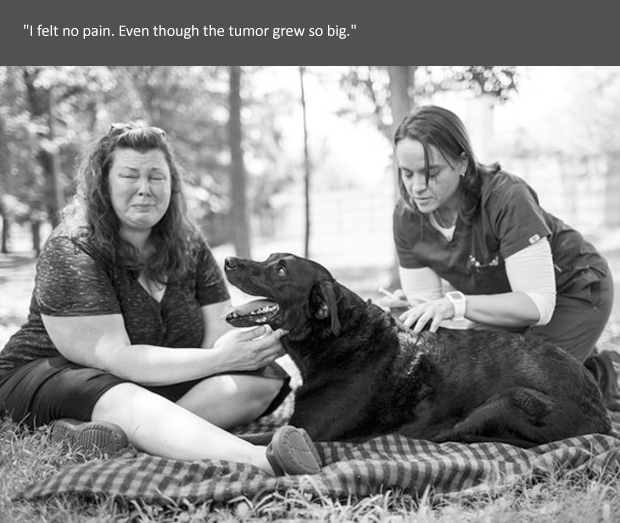 I Died Today Duke's Touching Story The Munch Zone