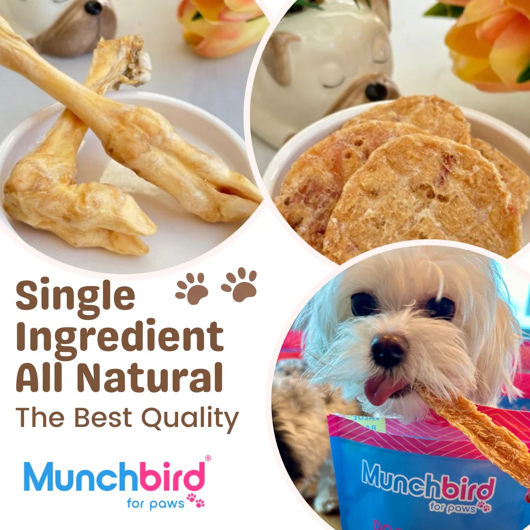 The Best Chicken Chips for Dogs (2024) A Comprehensive Guide Munchbird