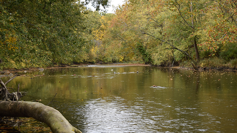 New Nature Preserve Protects the White River and Indiana History — Muncie Journal