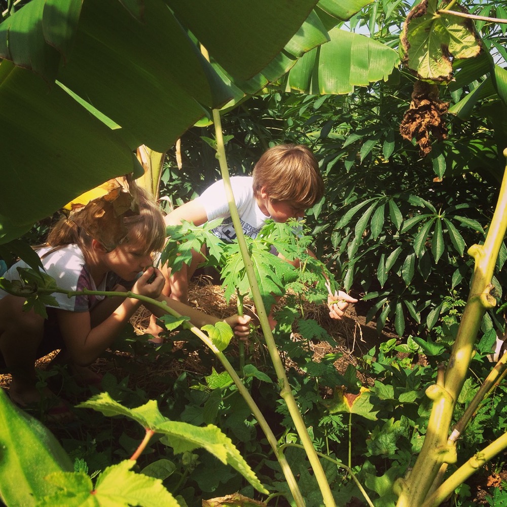 home Muriels Kitchen