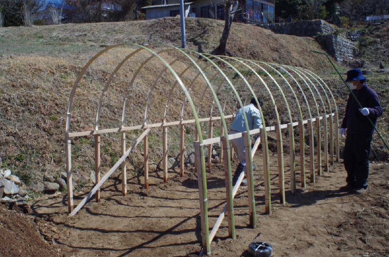 夢里人 ブログ H24年度最後の竹ビニールハウスの骨格作り
