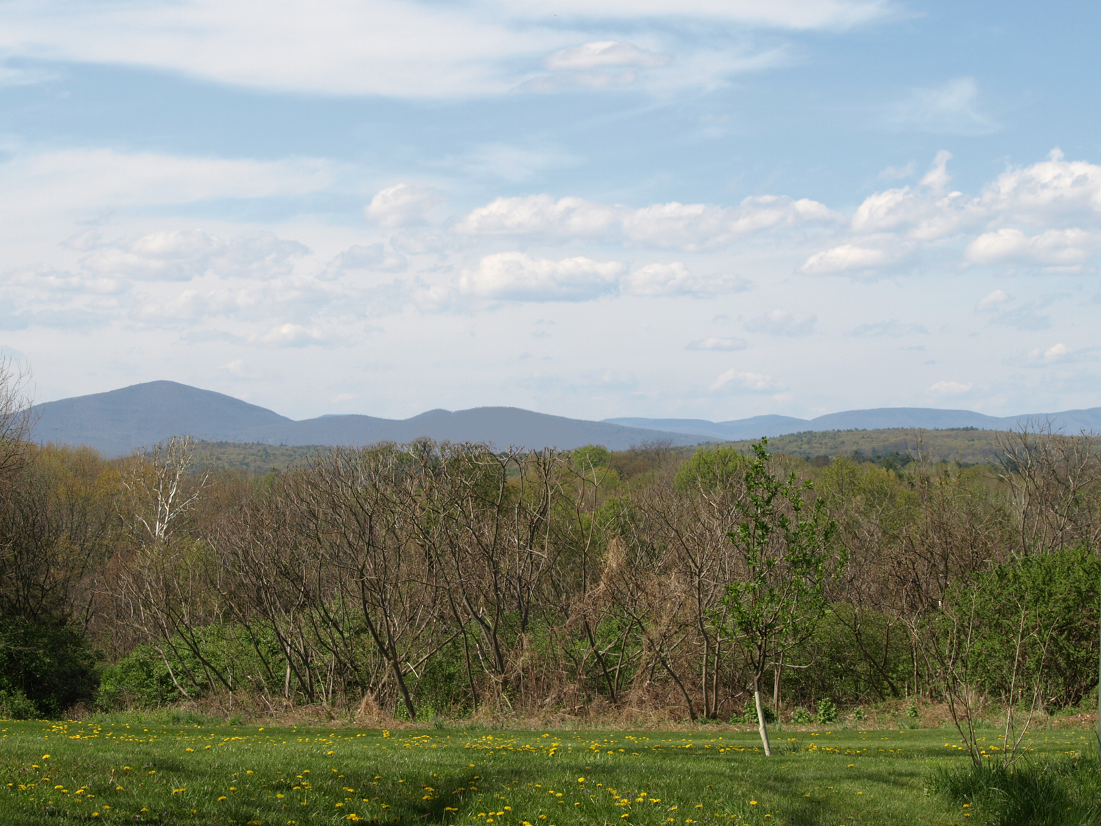 Featured Ulster County Real Estate Listings