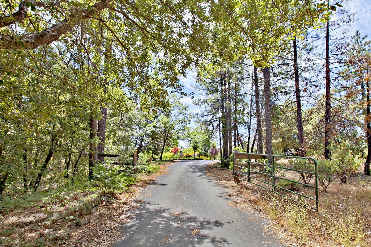 Gallery ESCAPE TO THE SIERRAS