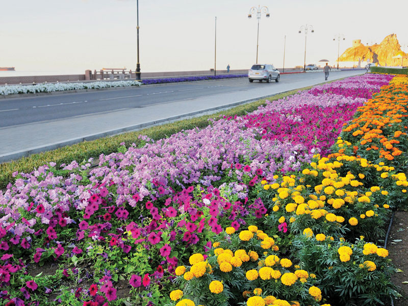 Muscat Municipality to organise Flower Exhibition in February Muscat