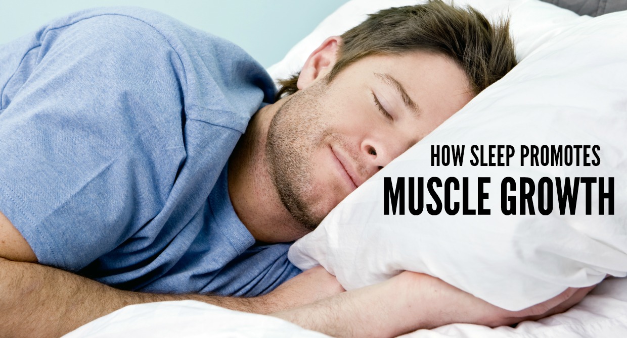 The Importance Of Sleep For Better Muscle Muscle Prodigy