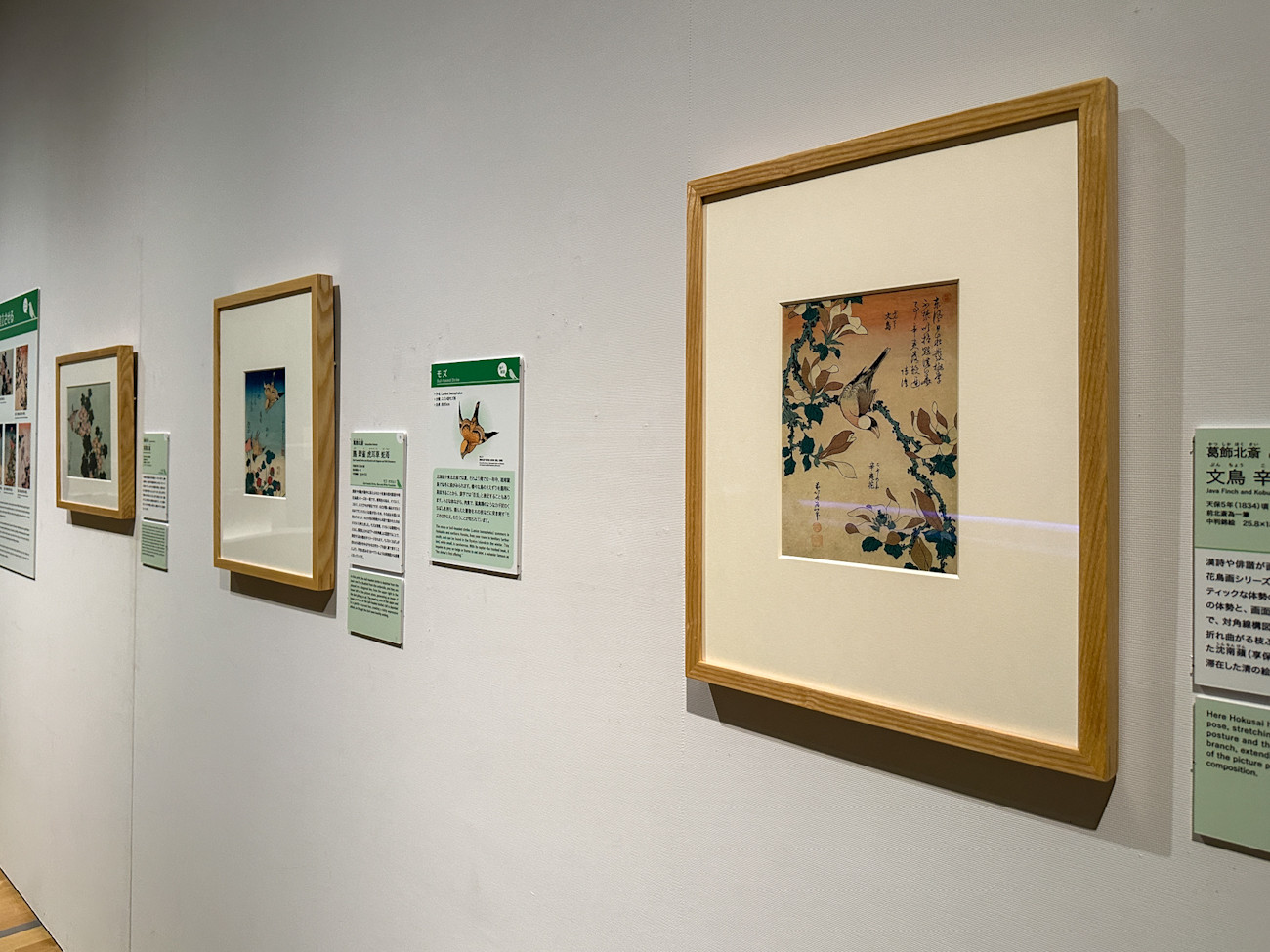 「鳥ブーム」だった江戸時代 ― すみだ北斎美術館で「北斎バードパーク」展 ニュース アイエム[インターネットミュージアム]