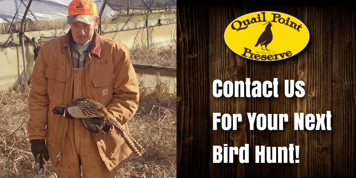 Quail Hunting KY Quail Point Preserve Winchester KY