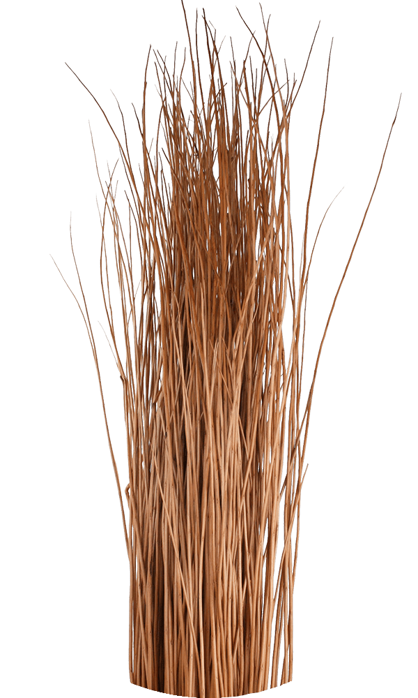 Somerset Willow rods for weaving Musgrove Willows