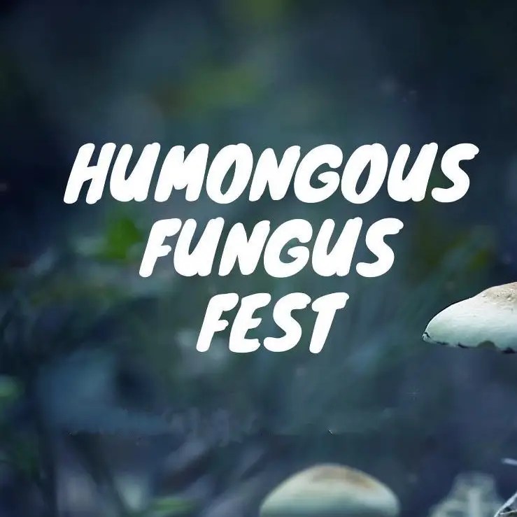 Humongous Fungus Fest, Crystal Falls Michigan