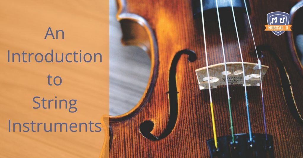 An Introduction to String Instruments Musical U