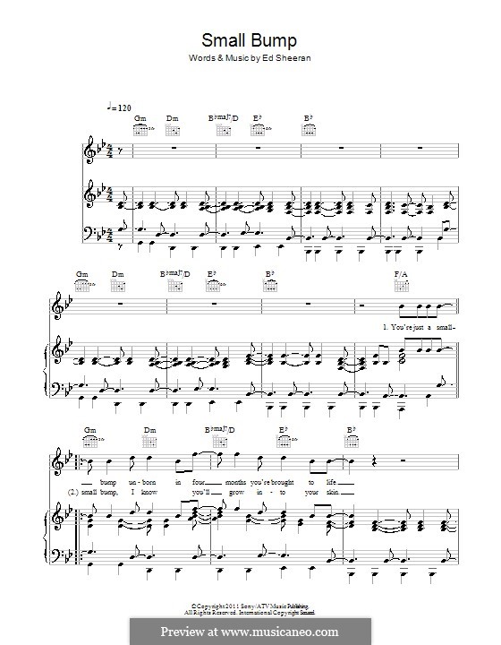 Small Bump by E. Sheeran sheet music on MusicaNeo