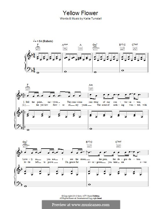 Yellow Flower by KT Tunstall sheet music on MusicaNeo
