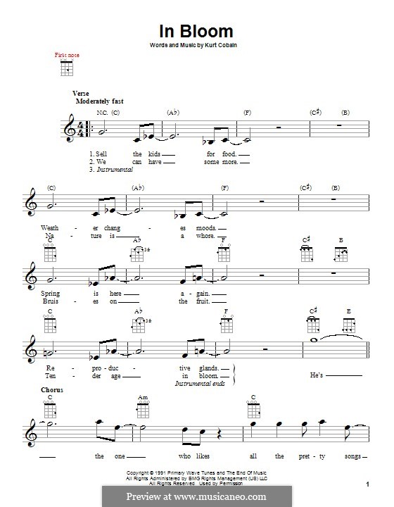 In Bloom (Nirvana) by K. Cobain sheet music on MusicaNeo