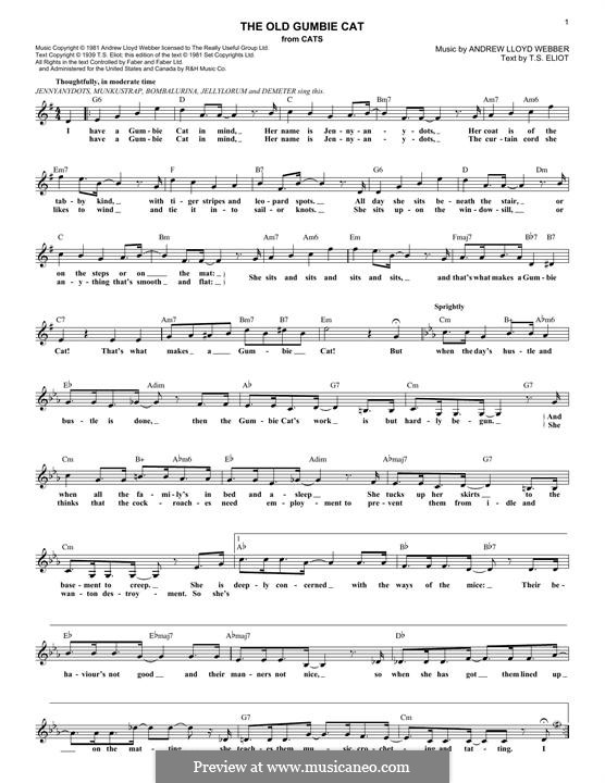 The Old Gumbie Cat (from the Motion Picture Cats) by A.L. ber on