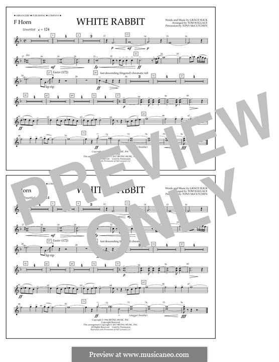 White Rabbit (Jefferson Airplane) by G. Slick sheet