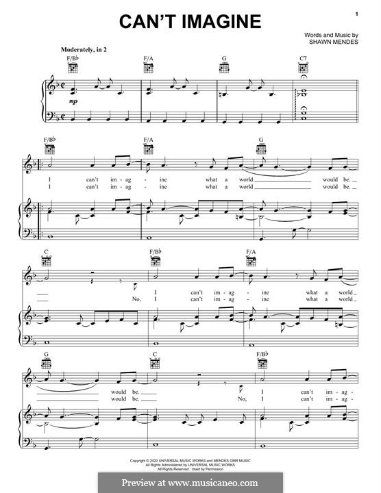 Can't Imagine by S. Mendes sheet music on MusicaNeo