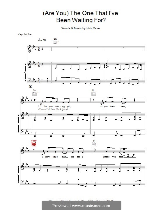 (Are You) The One That I've Been Waiting for? by N. Cave on MusicaNeo