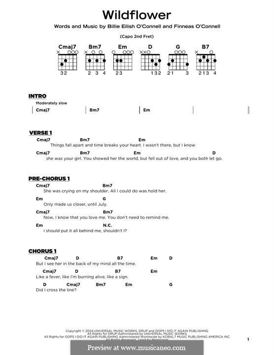 Wildflower (Billie Eilish) von F. O'Connell Noten auf MusicaNeo